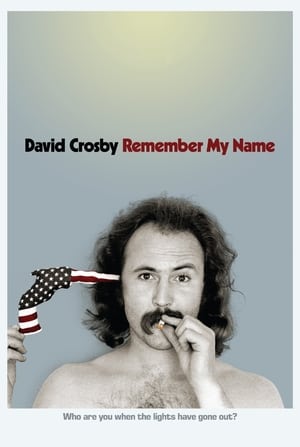 David Crosby: Remember My Name poszter