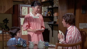 The Courtship of Eddie's Father Season 3 Ep.10 10. epizód