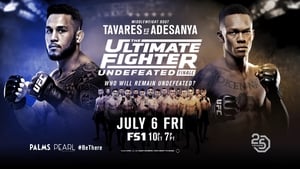 The Ultimate Fighter 27 Finale háttérkép