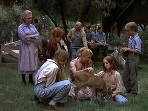 The Waltons Season 2 Ep.9 9. epizód