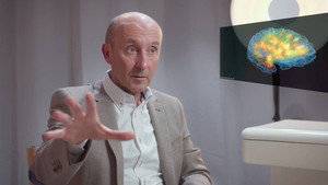 Las Cebras háttérkép