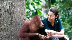 Among the Great Apes with Michelle Yeoh háttérkép