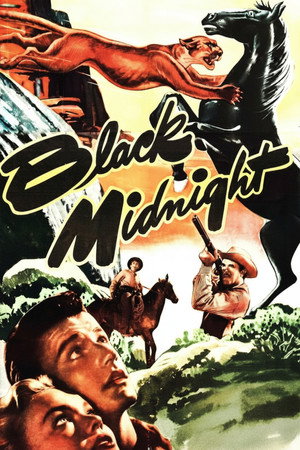 Black Midnight poszter