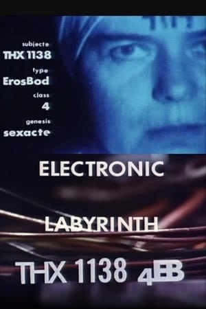 Electronic Labyrinth: THX 1138 4EB poszter