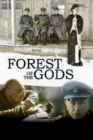 Dievų miškas poszter