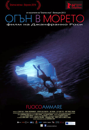 Fuocoammare poszter