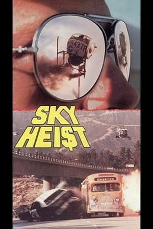 Sky Heist