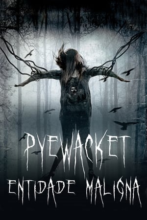 Pyewacket  - Vigyázz, mit kívánsz! poszter