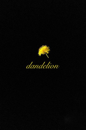 Dandelion poszter