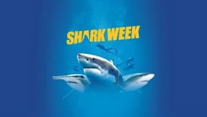 Shark Week kép