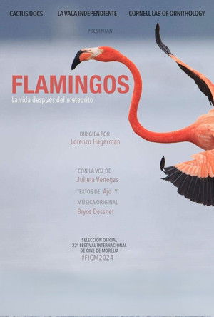 Flamingos: La vida después del meteorito poszter