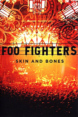 Foo Fighters: Skin and Bones poszter