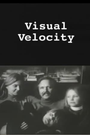 Visual Velocity: The Work of Stan VanDerBeek poszter