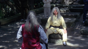 迷拳三十六招 háttérkép