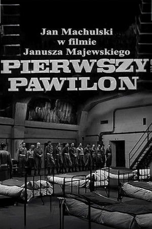 Pierwszy pawilon poszter