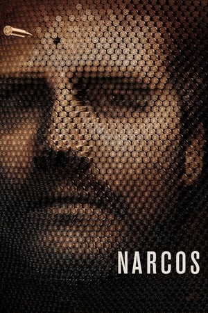 Narcos poszter