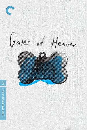 Gates of Heaven poszter