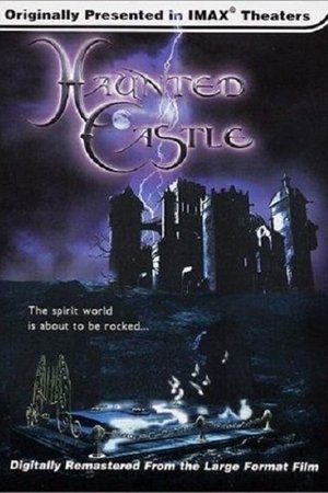 Haunted Castle poszter