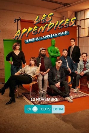 Les appendices : de retour après la pause