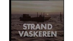 Strandvaskeren kép