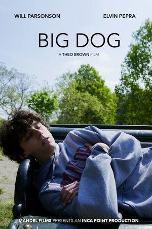 Big Dog poszter