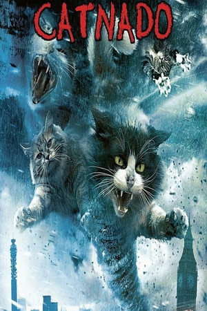 Catnado poszter