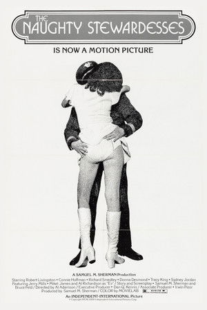 The Naughty Stewardesses poszter