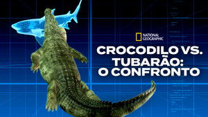 Cápák a krokodilok ellen háttérkép