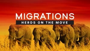 Migrations: Herds on the Move háttérkép