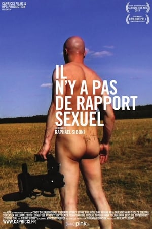 Il n'y a pas de rapport sexuel poszter