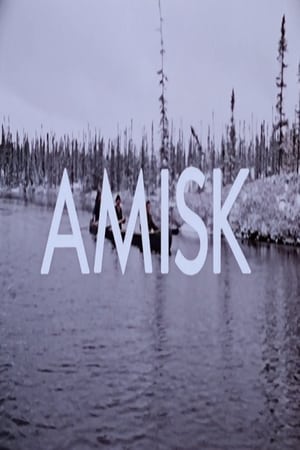 Amisk