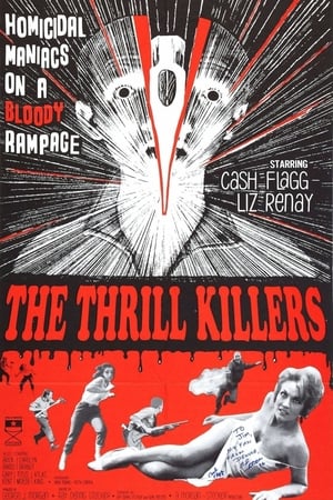 The Thrill Killers poszter