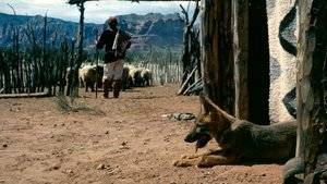 Concho, the Coyote Who Wasn't háttérkép