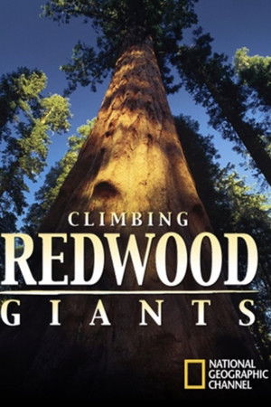 Climbing Redwood Giants poszter