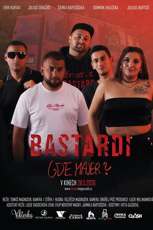 Bastardi: Gde Majer? poszter