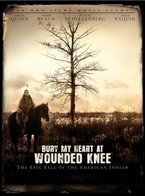 Wounded Knee-nél temessétek el a szívem poszter