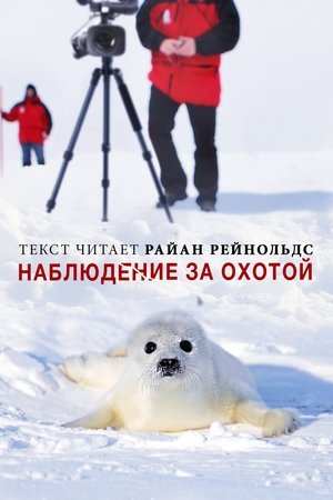 Huntwatch poszter