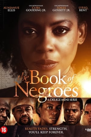 The Book of Negroes poszter