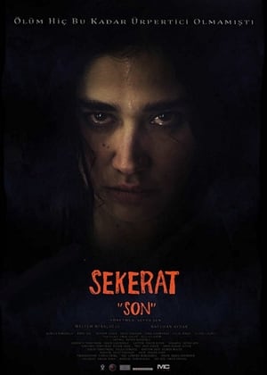 Sekerat Son