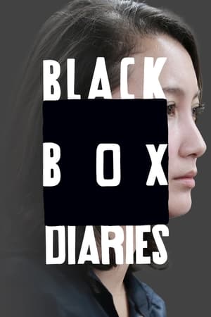 Black Box Diaries poszter