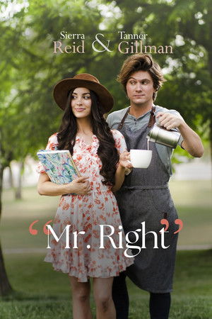 Mr. Right poszter