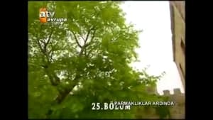 Parmaklıklar Ardında 1. évad Ep.25 25. epizód