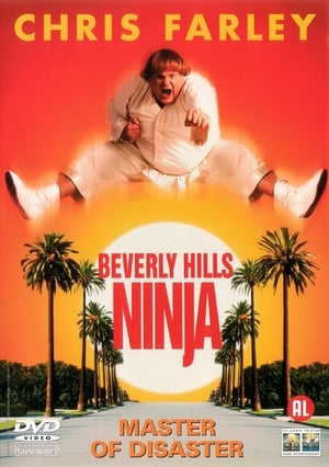 Beverly Hills-i nindzsa poszter