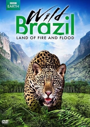 Wild Brazil