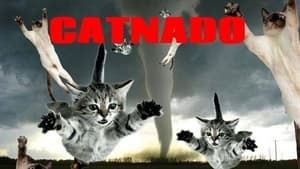 Catnado háttérkép