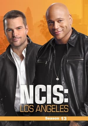 NCIS: Los Angeles poszter