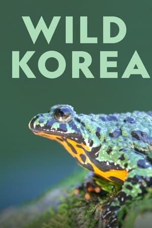 Wild Korea