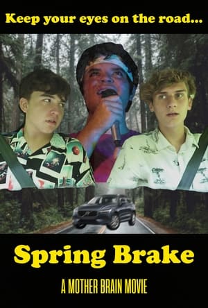 Spring Brake poszter