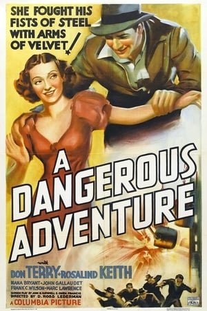 A Dangerous Adventure poszter