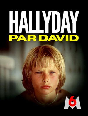 Hallyday par David poszter